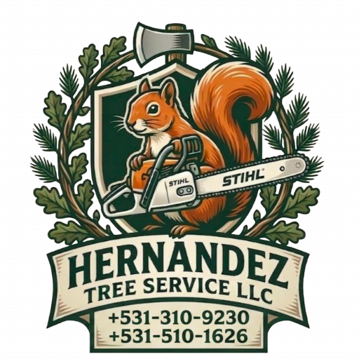 Hernandez Tree Service LLC